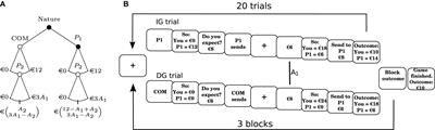 Late Frontal Negativity Discriminates Outcomes and Intentions in Trust-Repayment Behavior